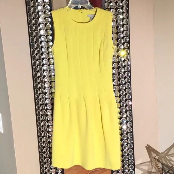H&M Sunny Sleeveless Pleated Fit Skater Dress - Picture 6 of 15